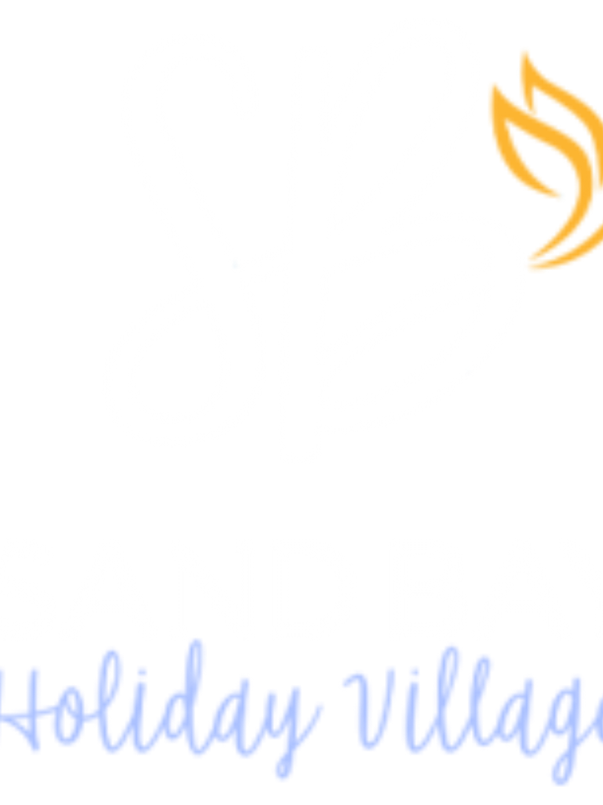 @A͟n͟d͟y͟I͟n͟S͟a͟l͟f͟o͟r͟d͟