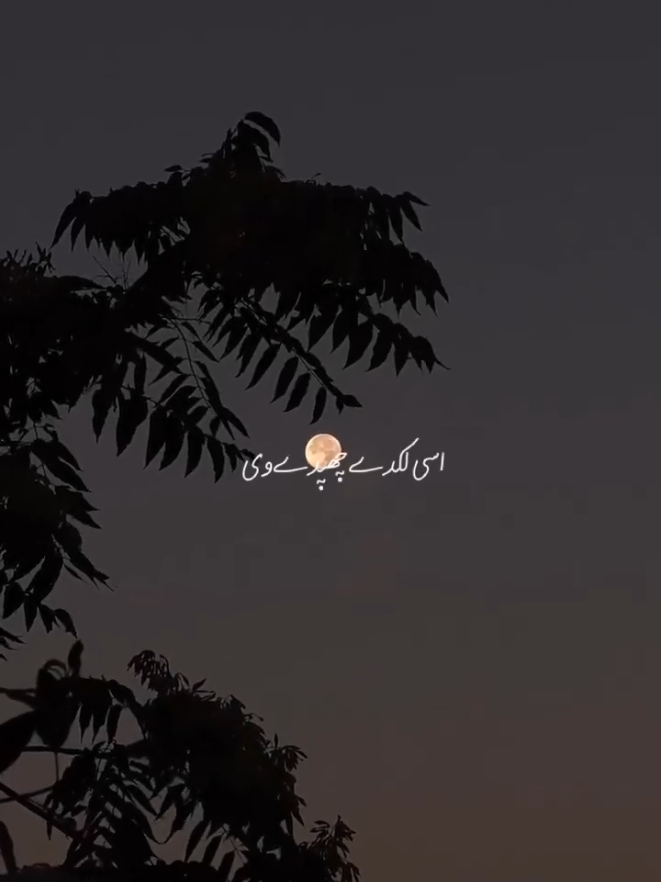 @<3🫀🎧