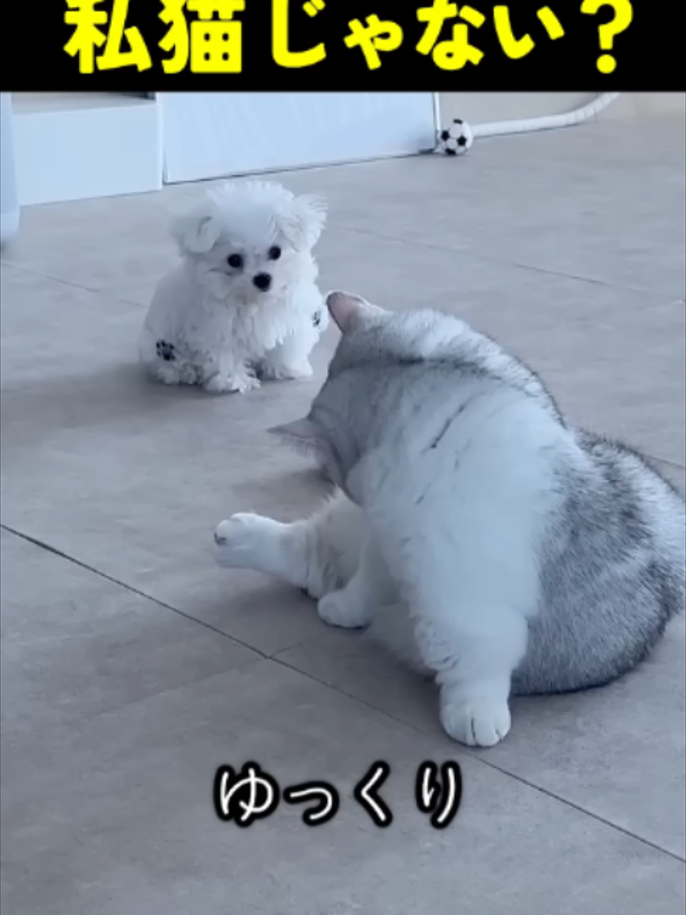 @빅파일