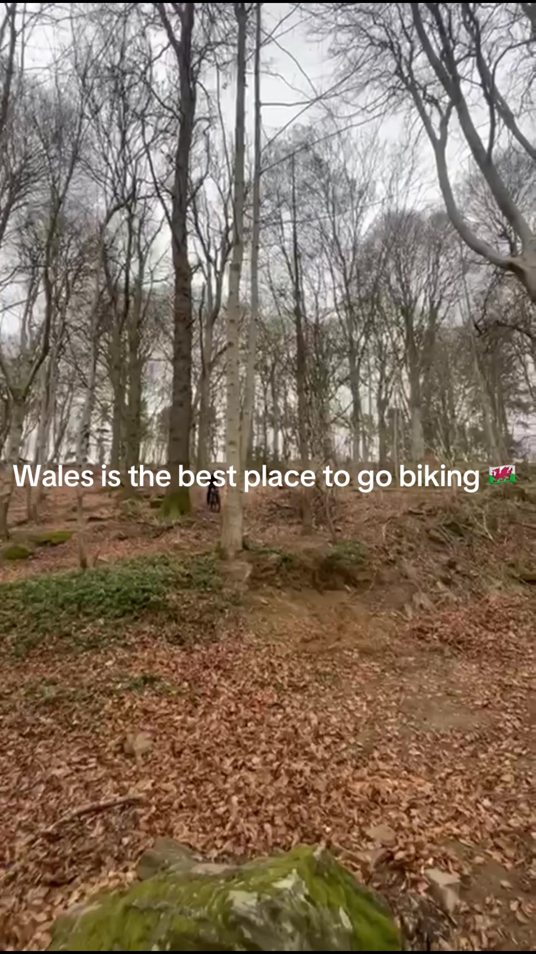 @AJ on specialized