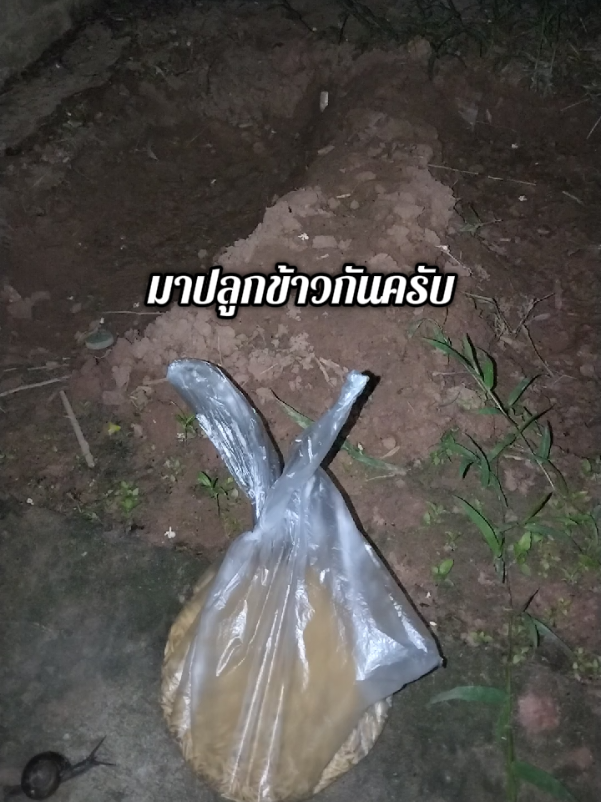 @โค้ก ลองของเล่น 40k