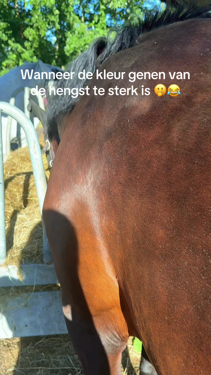 @Pietrik 🌱