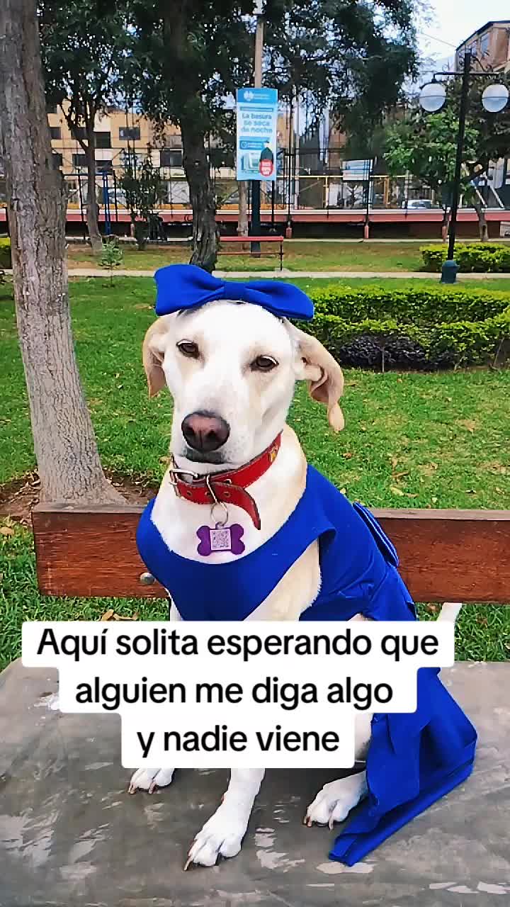 @winnie ❤🦮