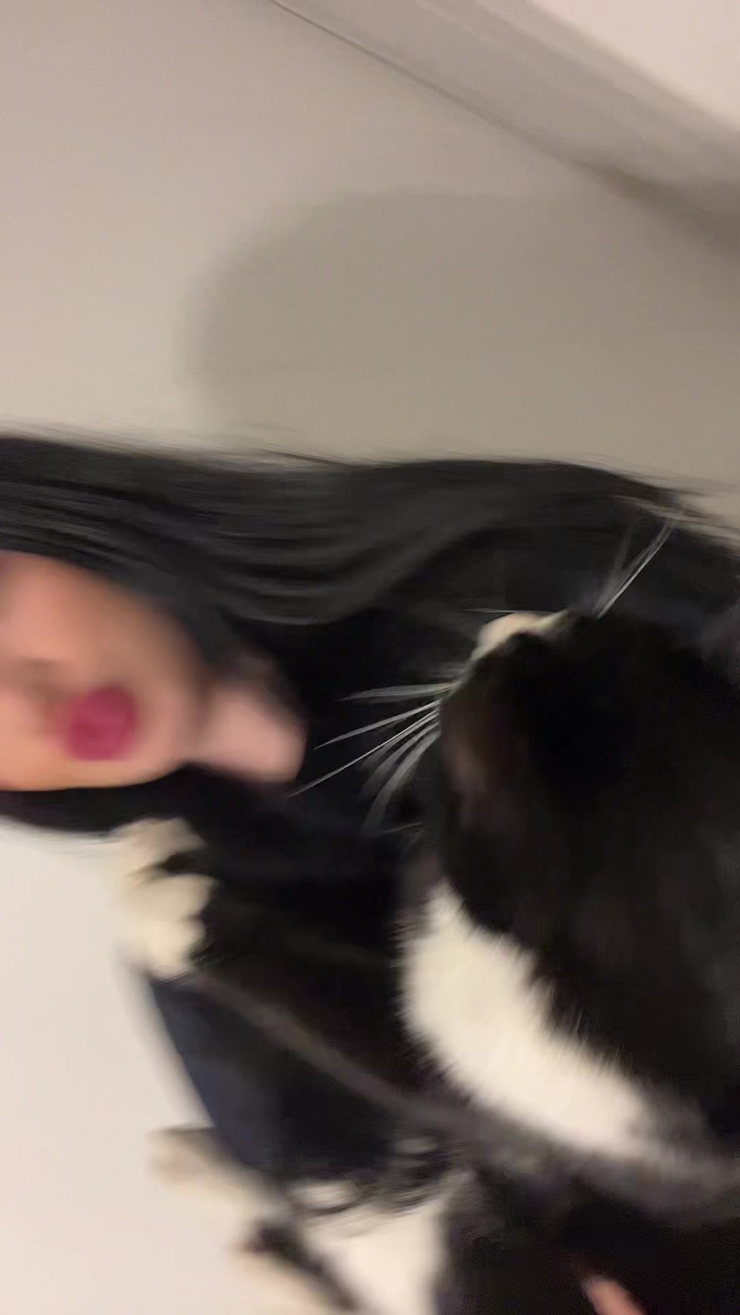 @𝐴𝑚𝑖𝑏𝑙𝑦
