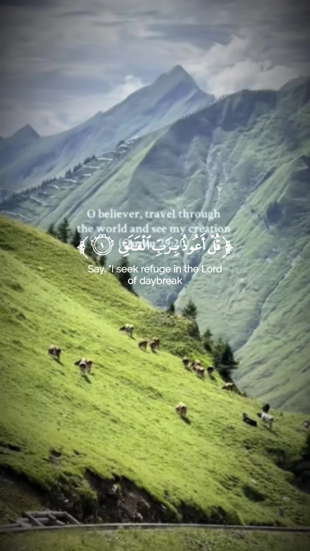 @www.tripswitht.com