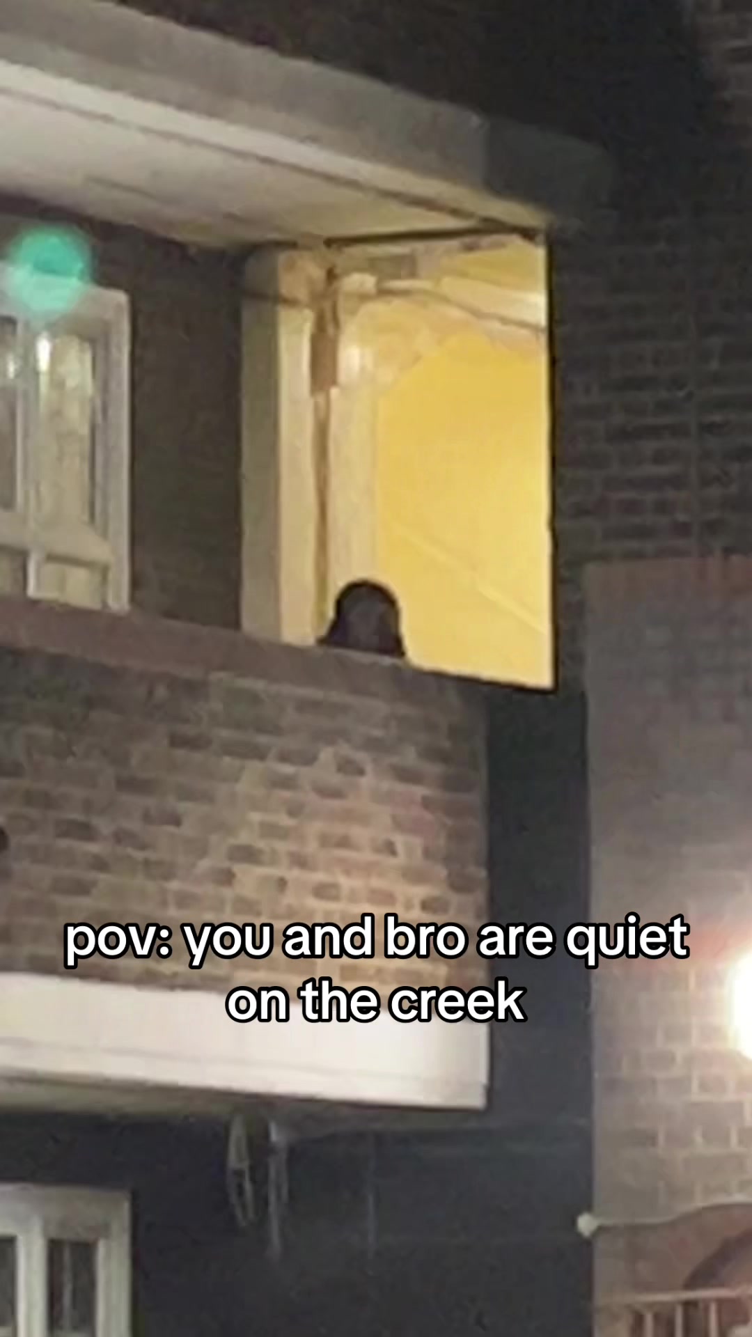 @weirdNwild