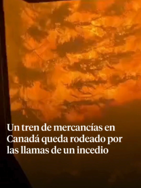 @La Vanguardia 🗞