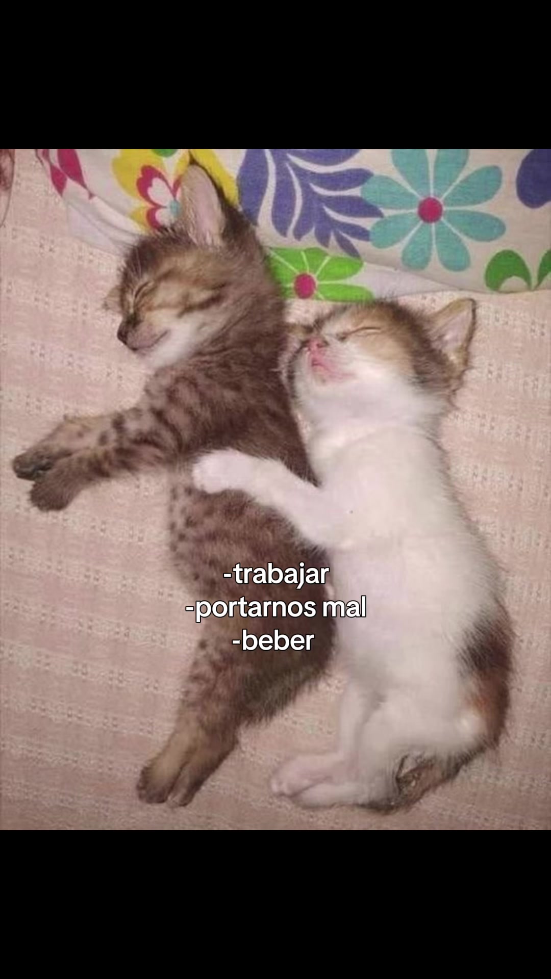 @Berraqueroo