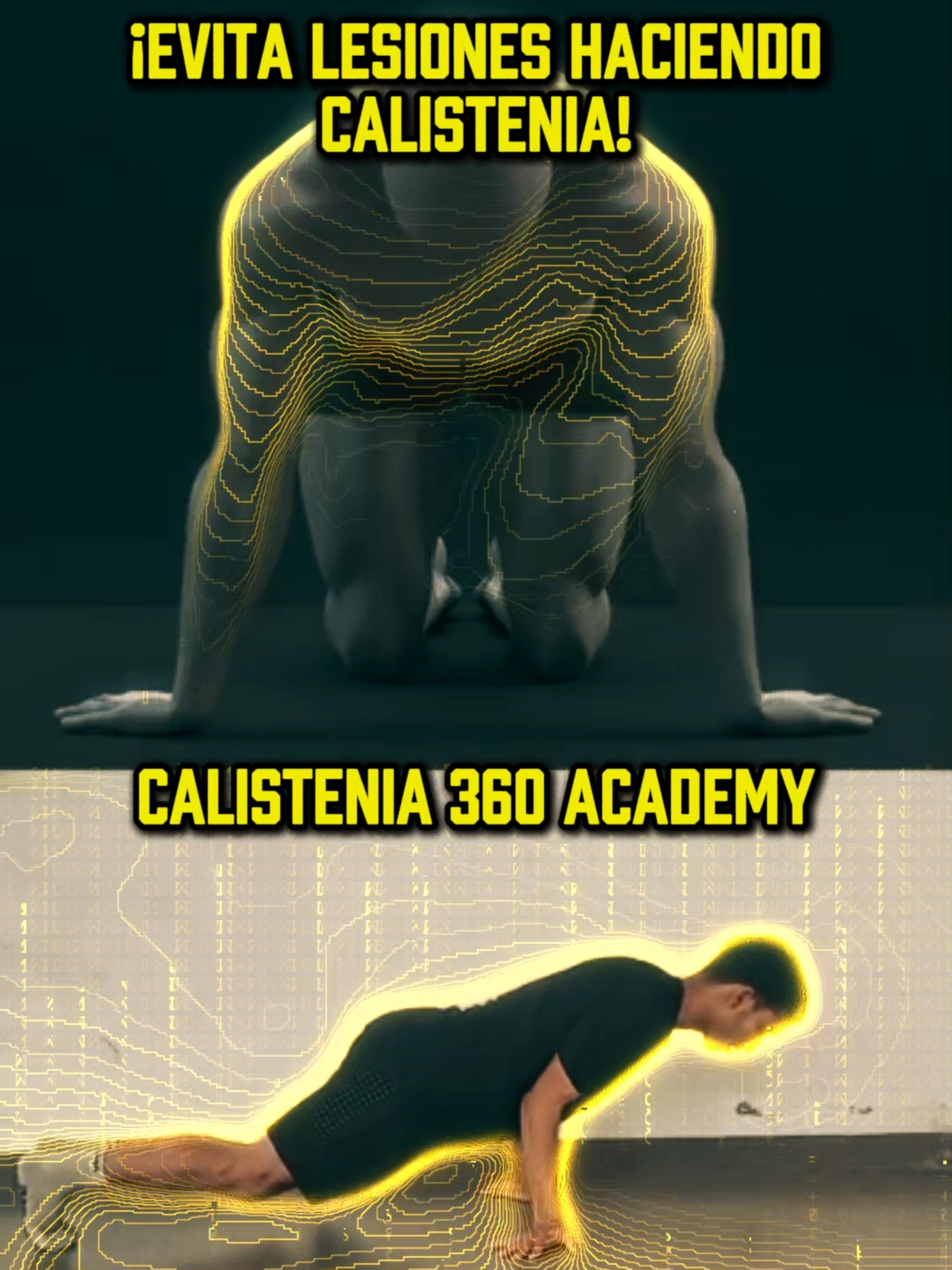 @Calistenia 360 academy