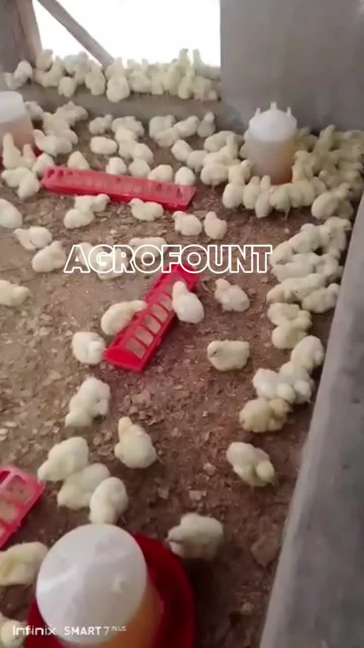 @AgroFount