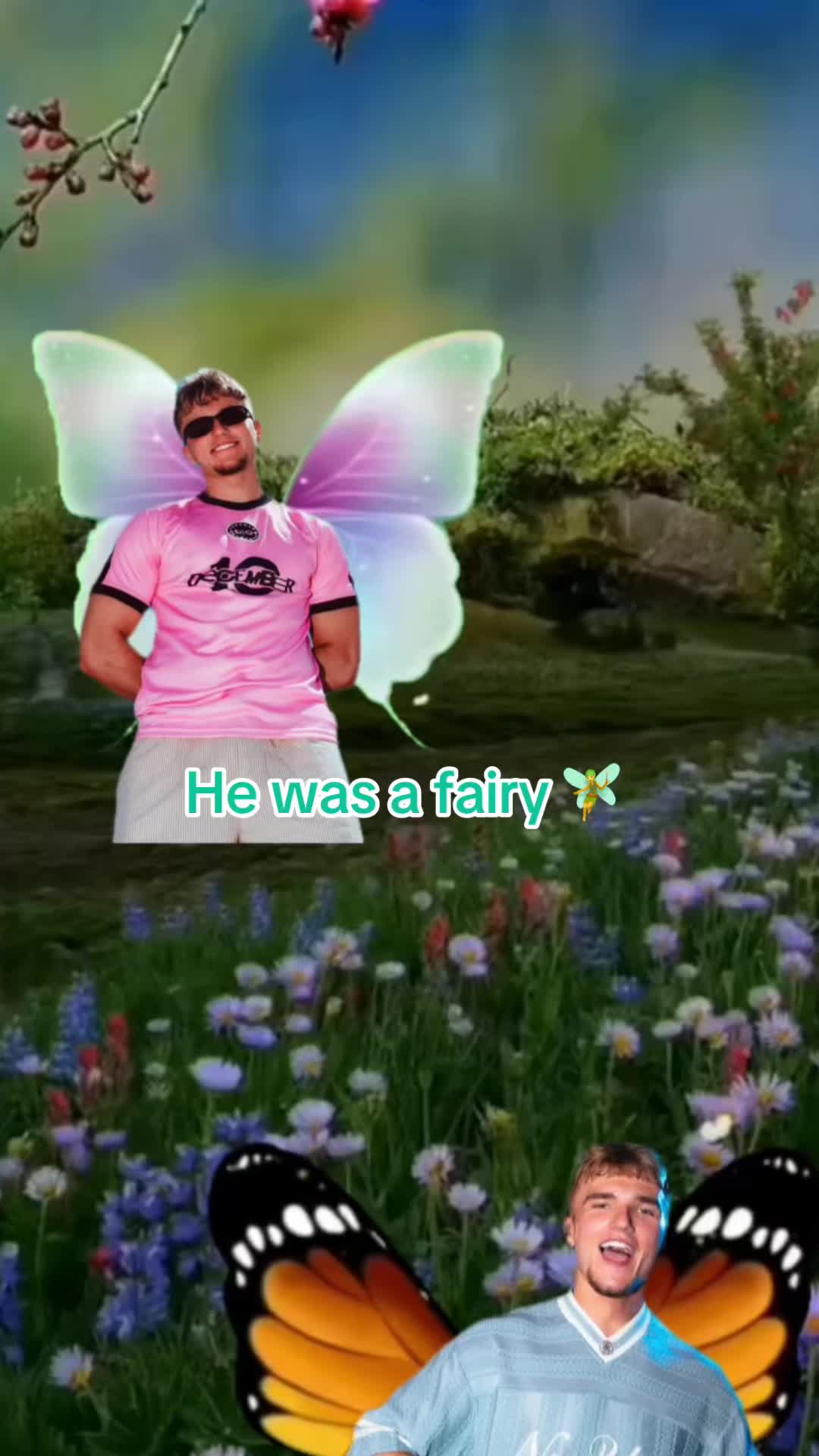 @december_10_fan_