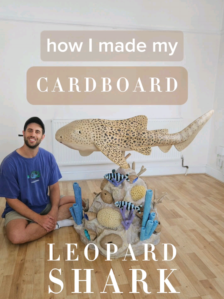 @Josh Gluckstein- Cardboard Art