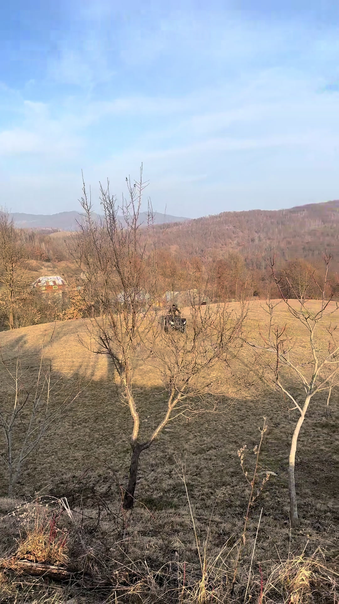@Adi Ciocotis
