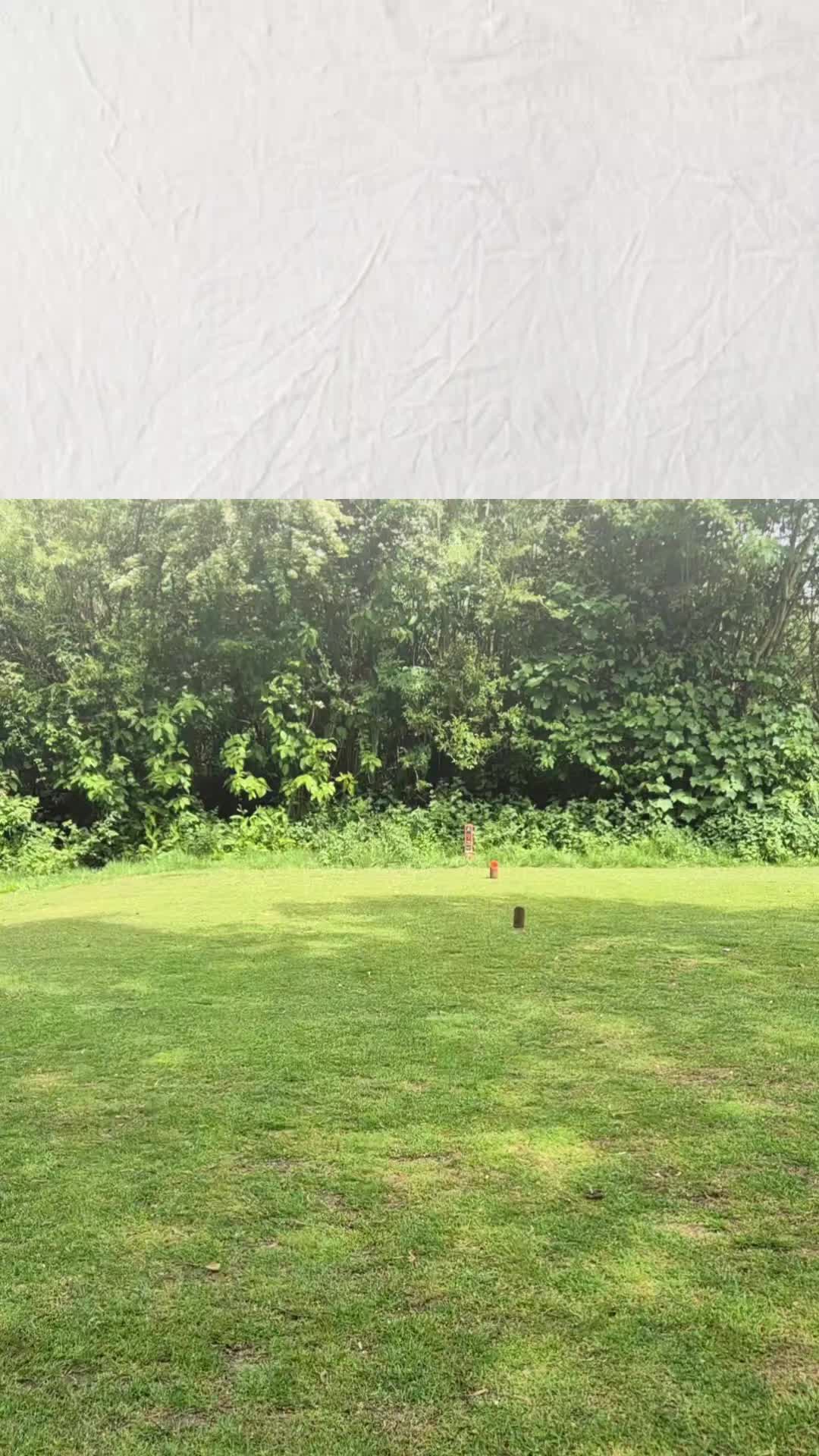 @flipertyflopfluffmeister