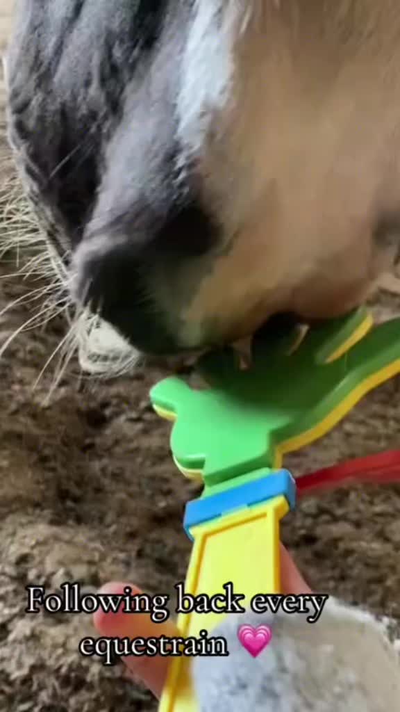 @Lels🐴🚜🦆