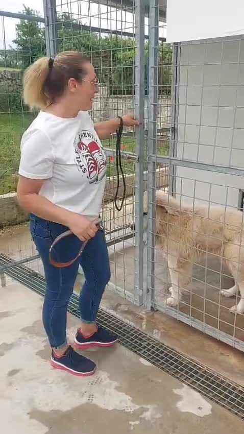 @SOS ADOZIONI4ZAMPE ONLUS