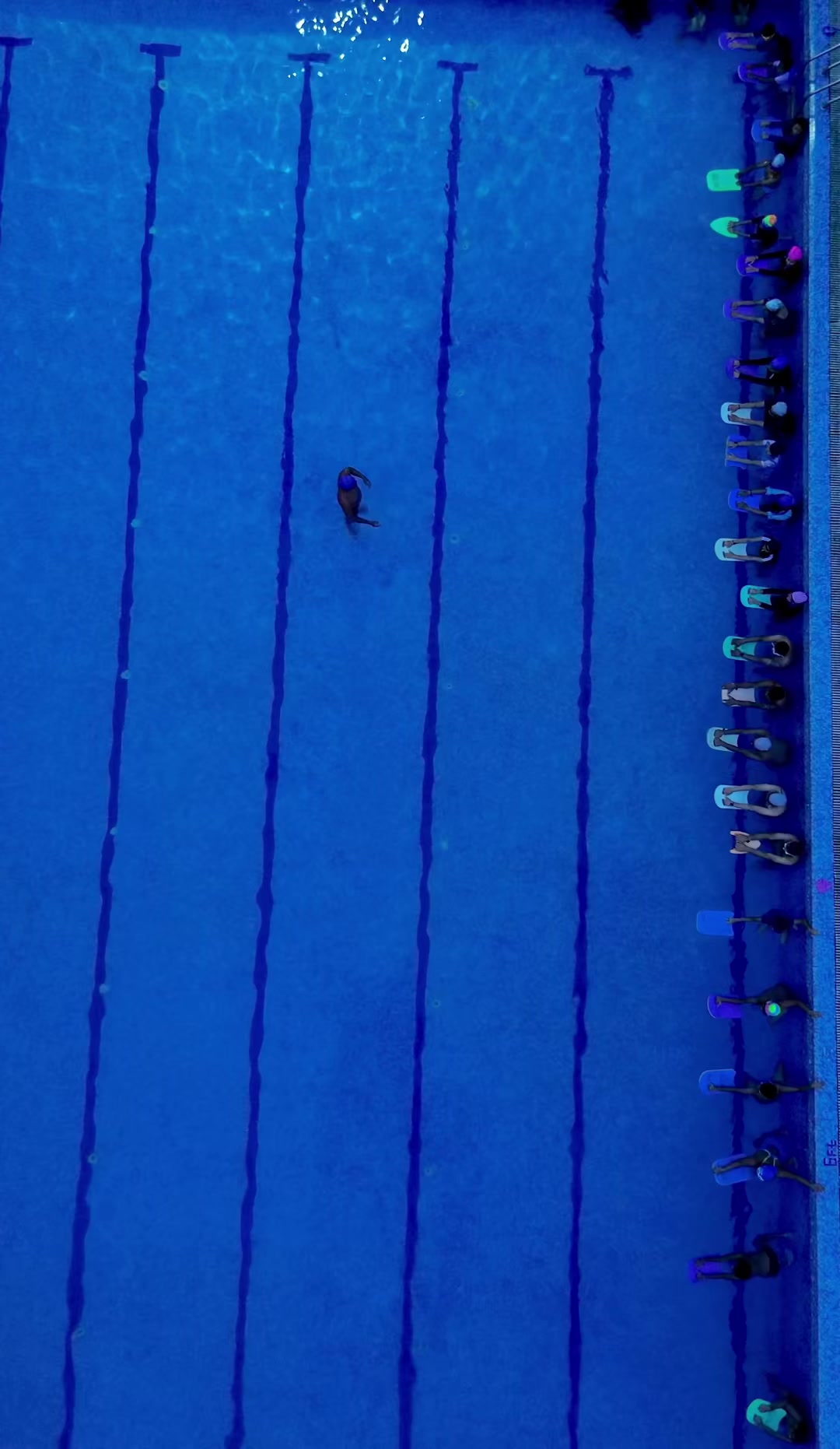 @swimming tips