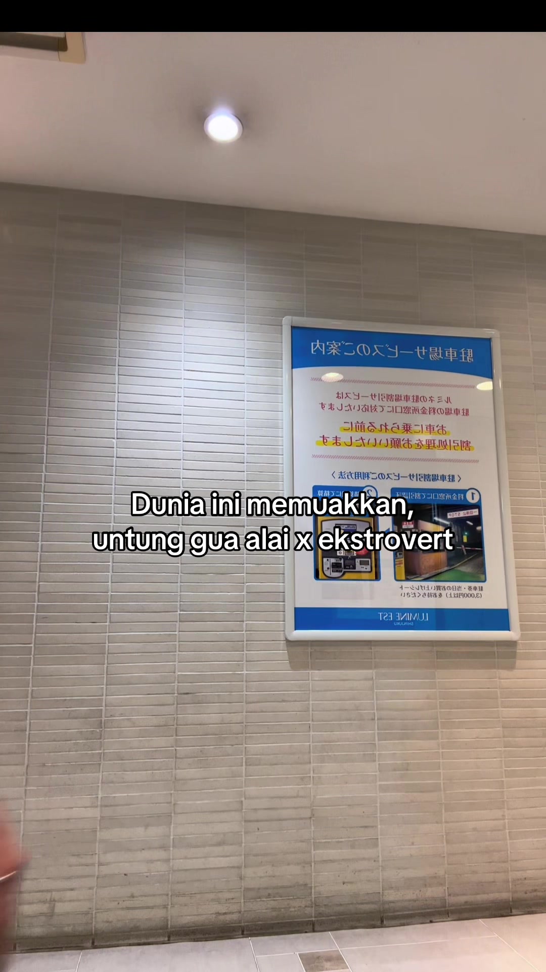 @NORA ノラ