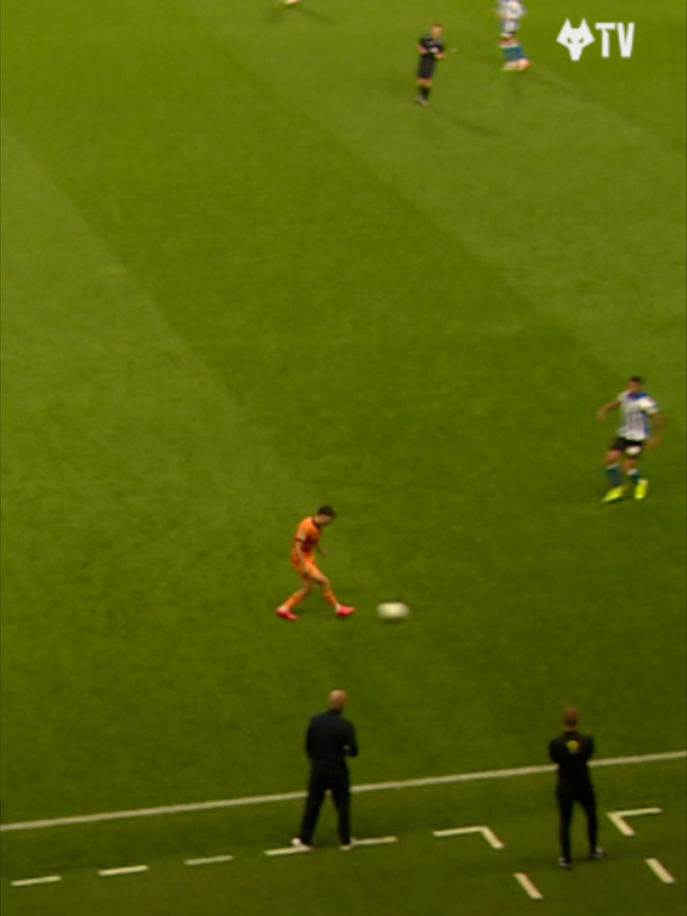 @wolves