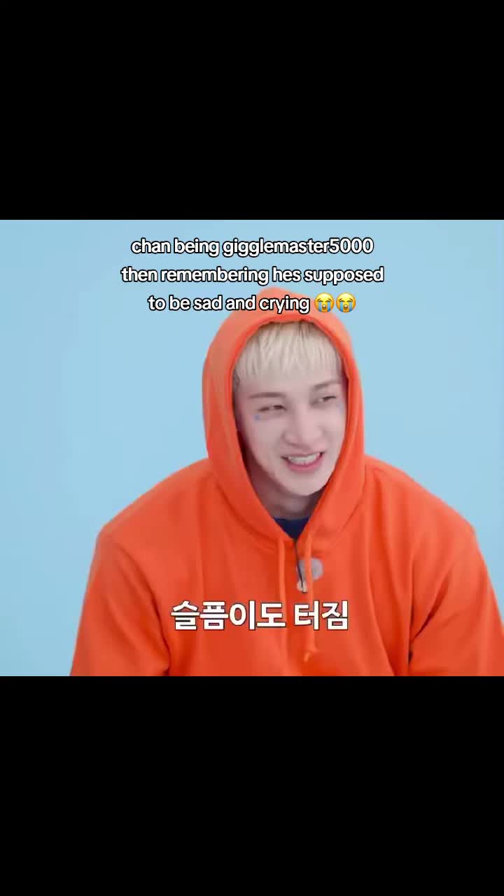 @𐔌 . ⋮ ѵɑოρ𝗌ευ𐓣𝗀 .ᐟ 🐶₊ ꒱