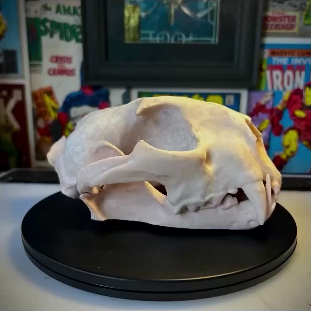 @Misterfeeneyart