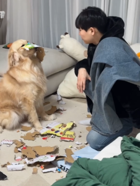 @멍멍일기