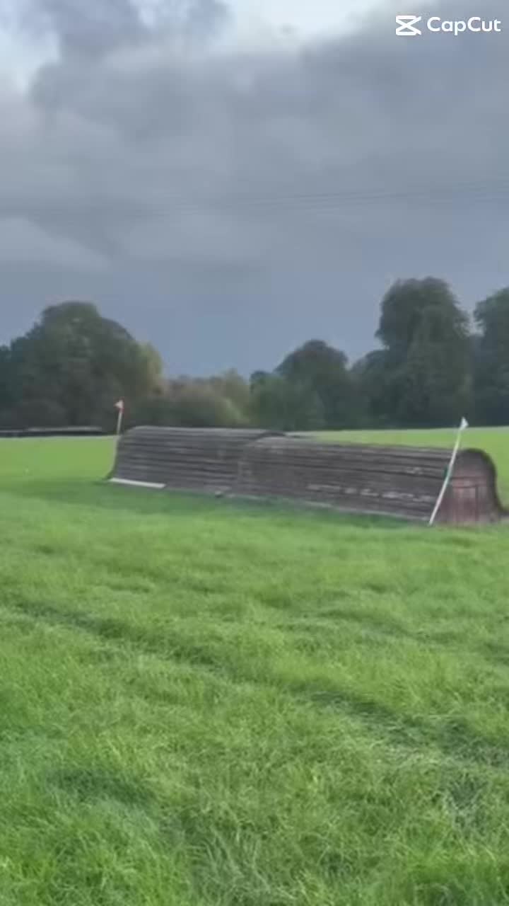 @kiki_and_kicks