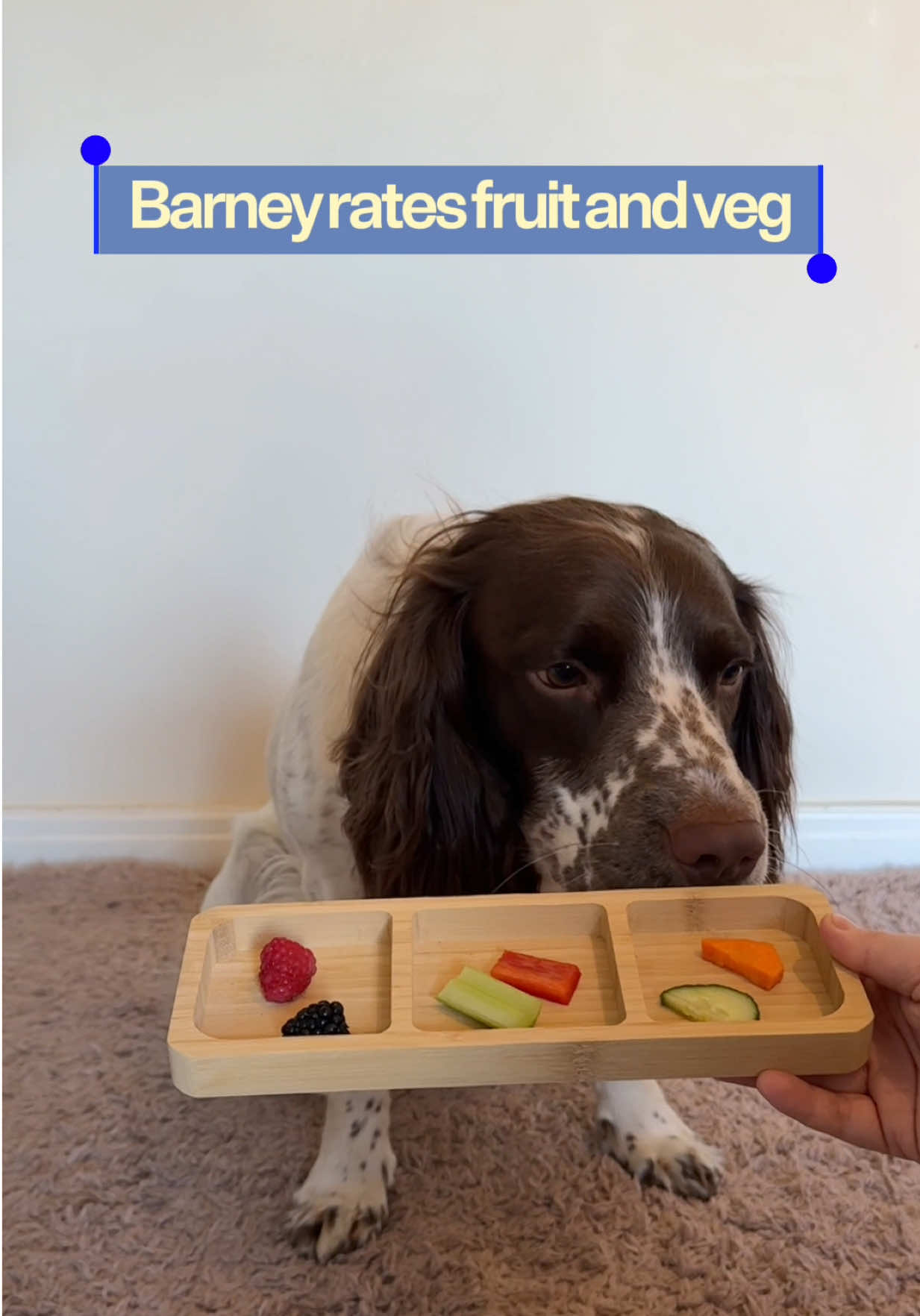 @Barney