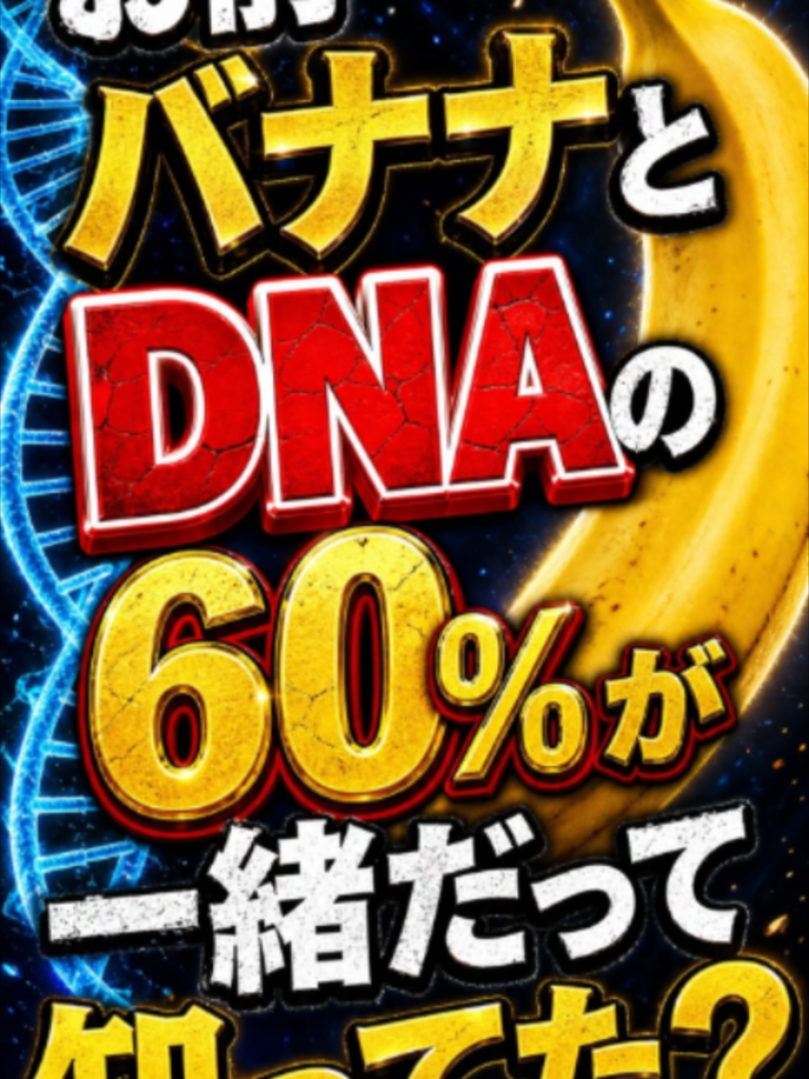 @bikkuri_animal_lab