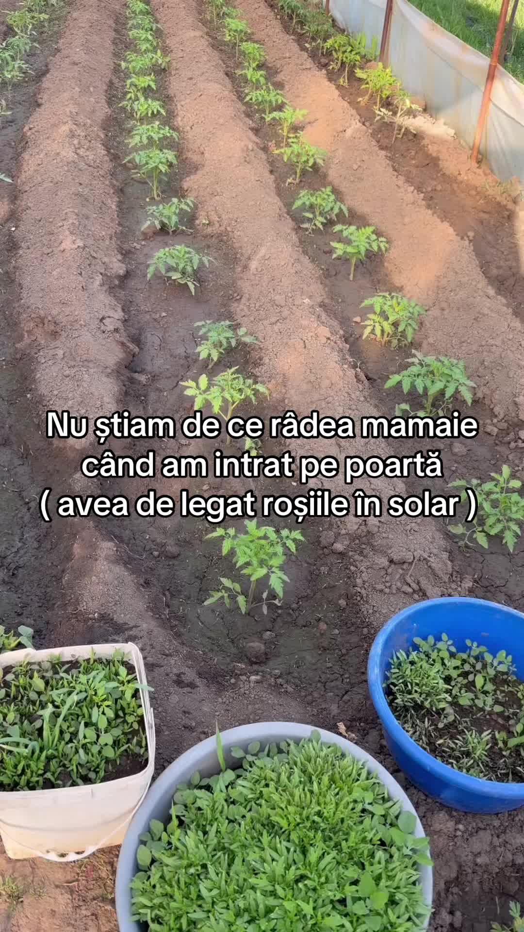@Andreea