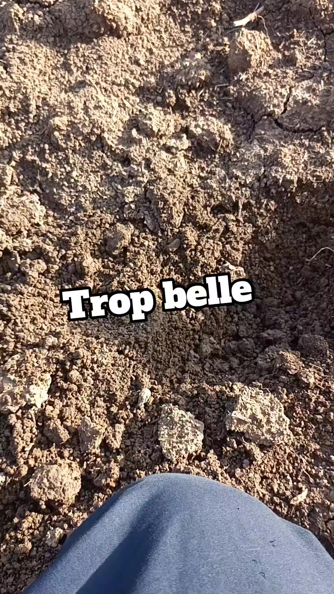 @DétecteurDeTrésor💥