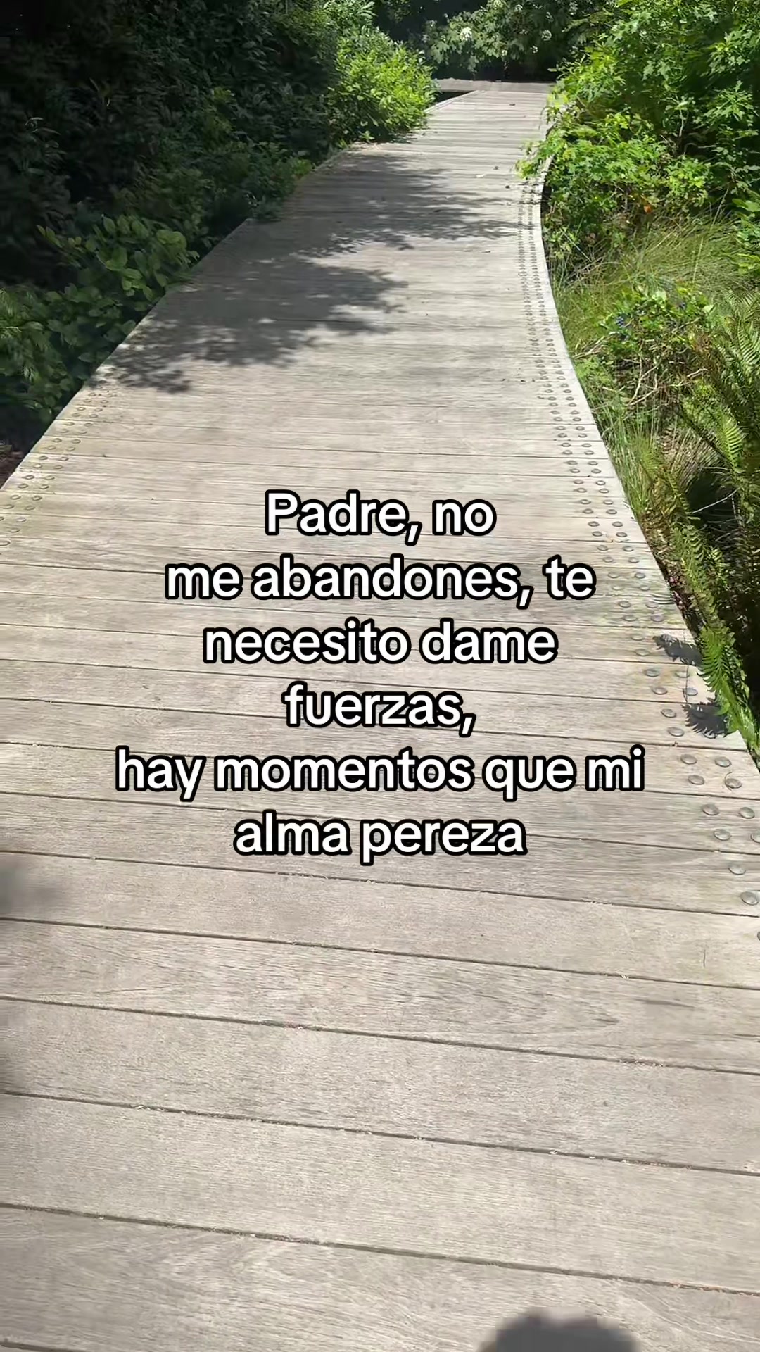 @💫⚡️✨👽pablocarbajal63👽✨⚡️💫