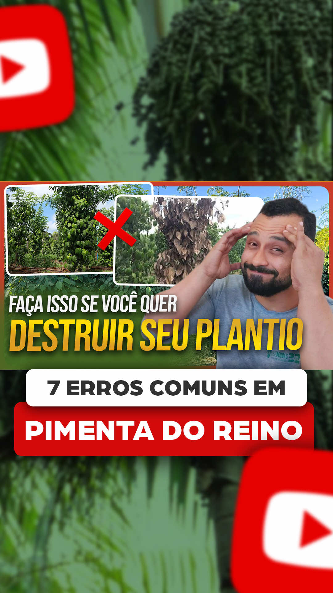 @ViveiroProMudas