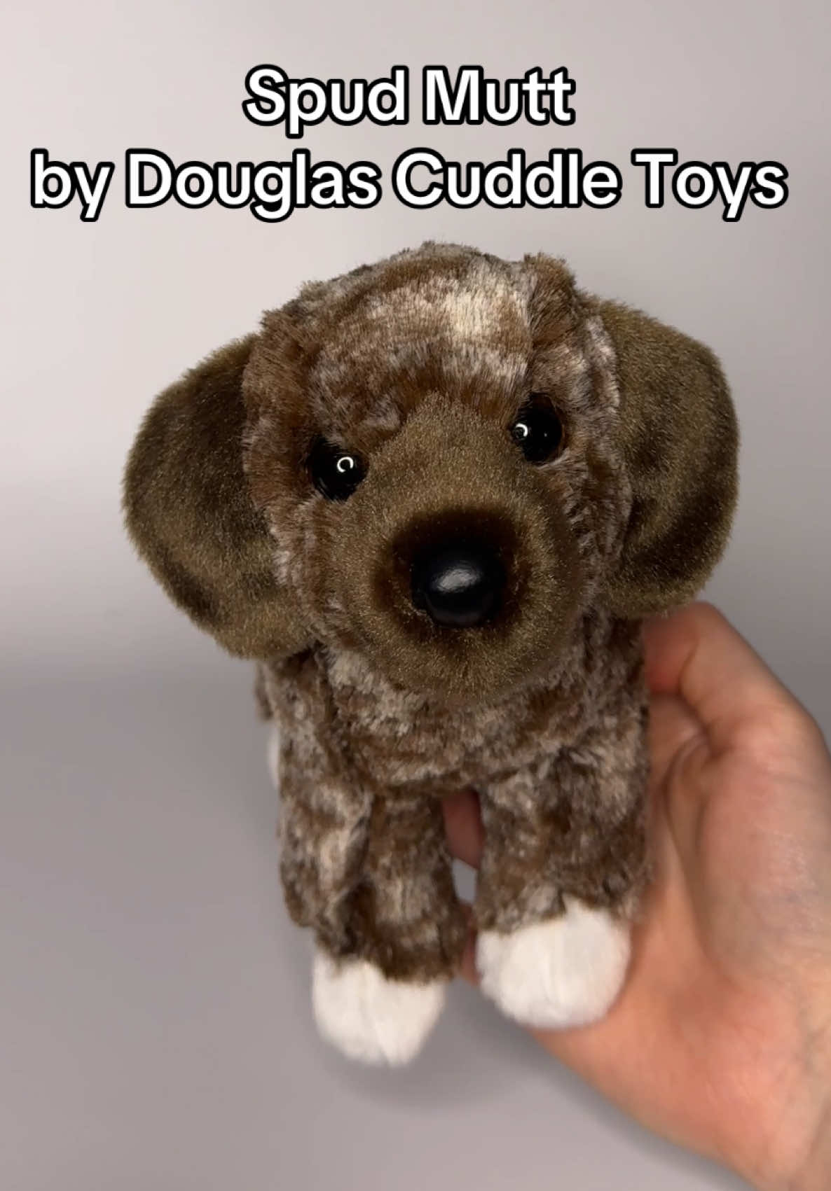 @Wonder Wolf Plush
