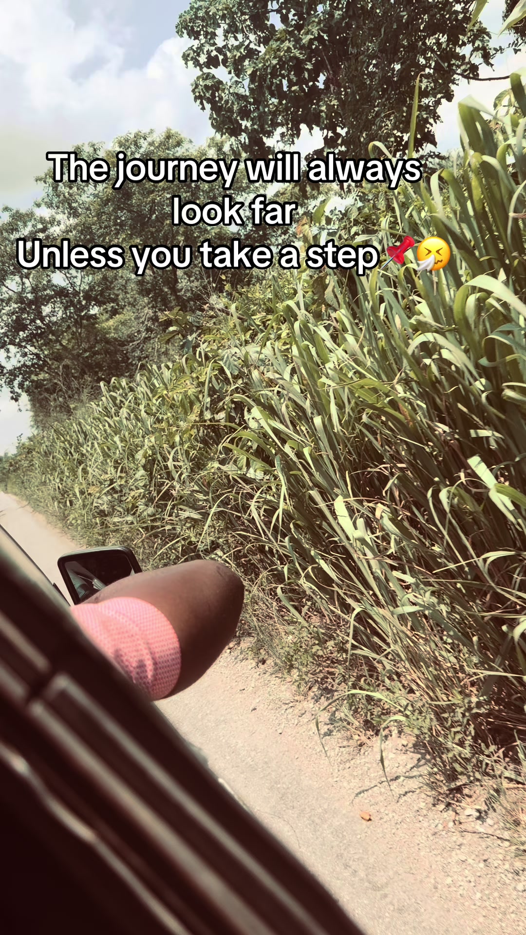 @Jamal 🧧🦎
