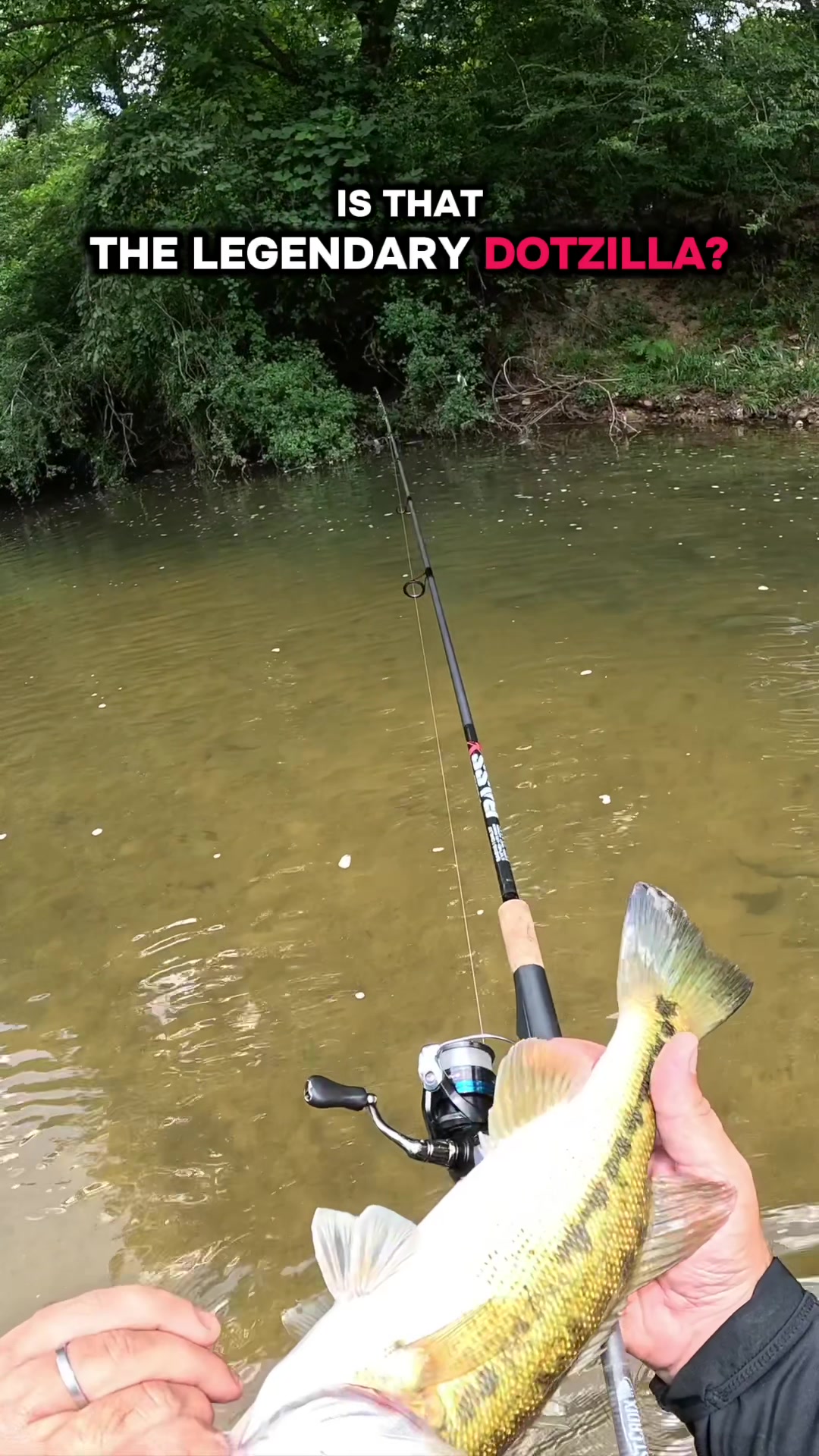 @Creek Seeker Outdoors