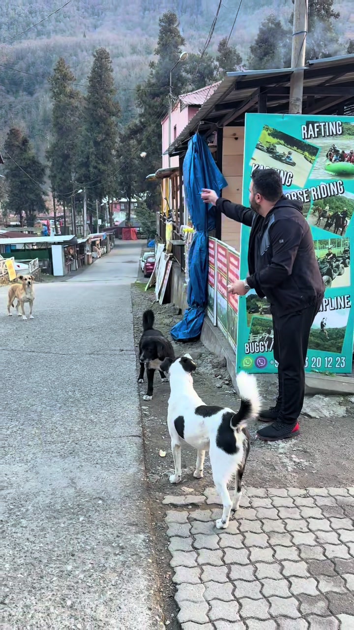 @Mehmet Yetiş