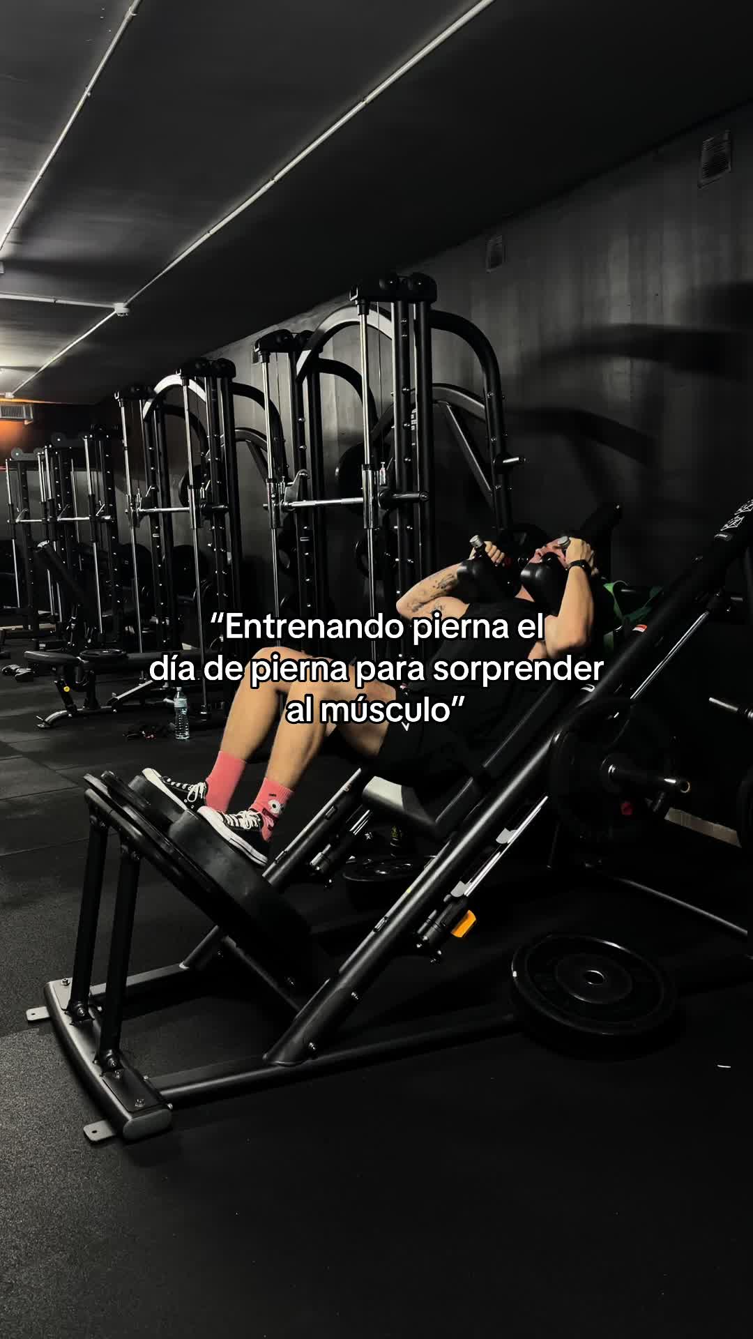 @GDFIT🔱