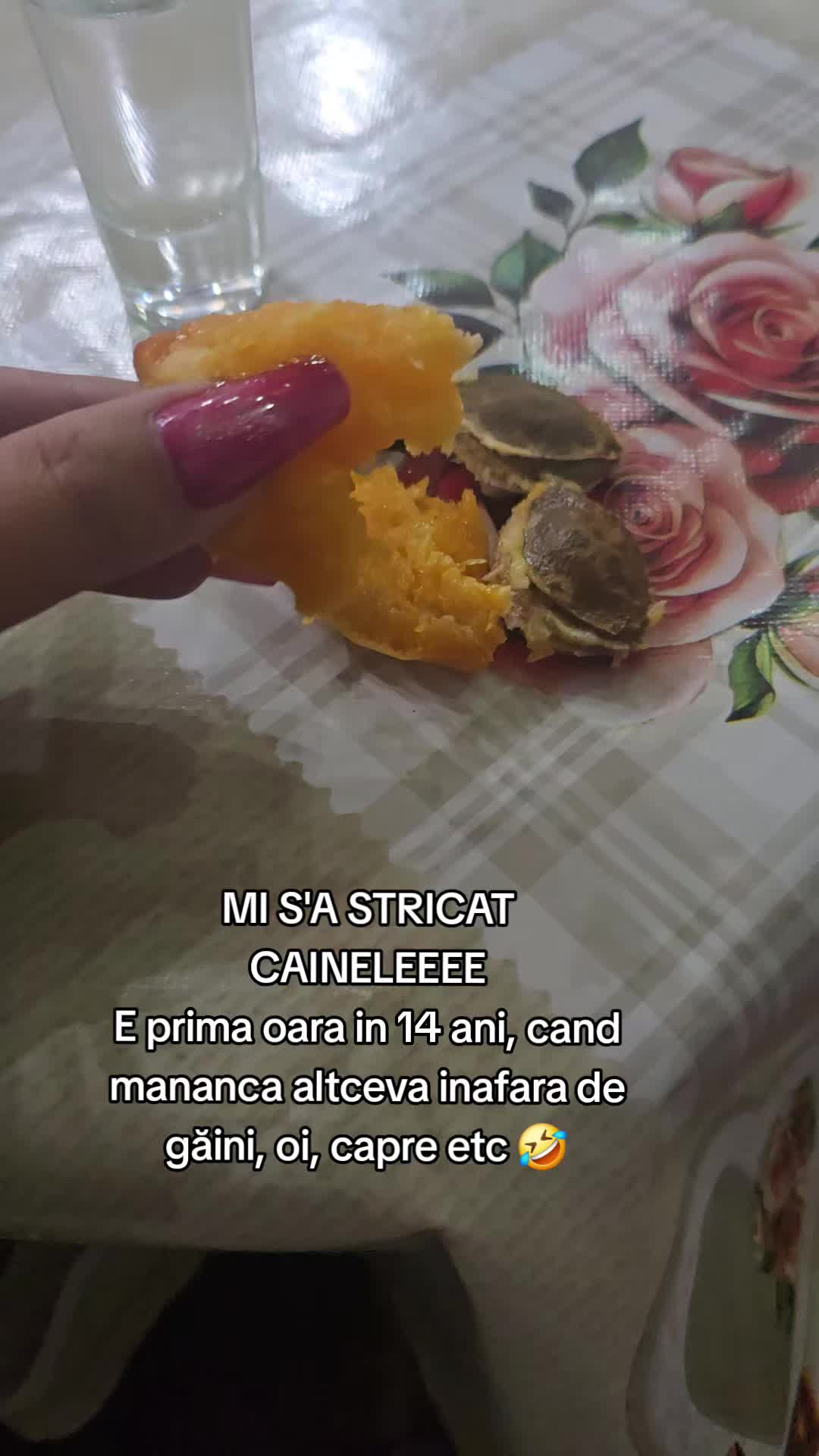 @Timeya