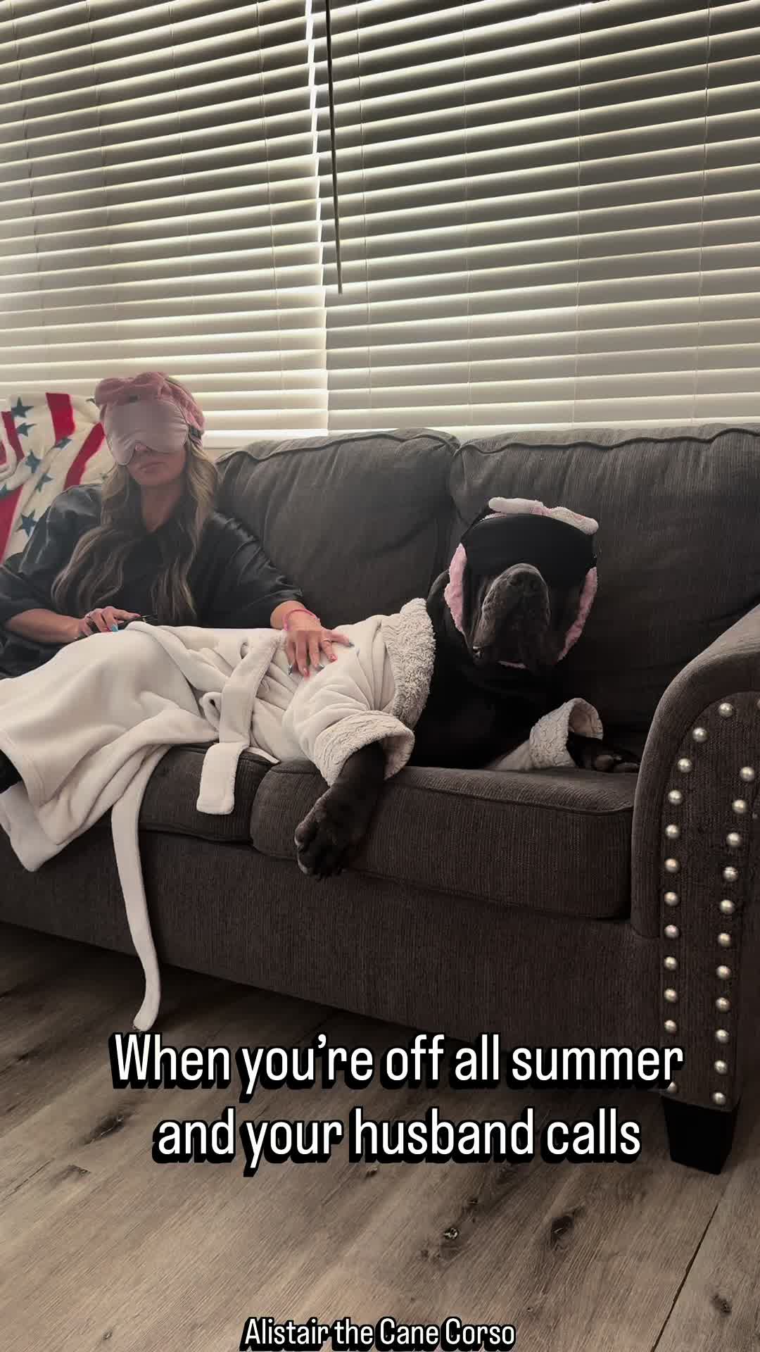 @Alistair the Cane Corso
