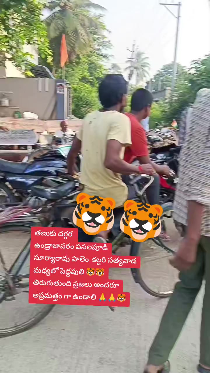 @rajupraju481