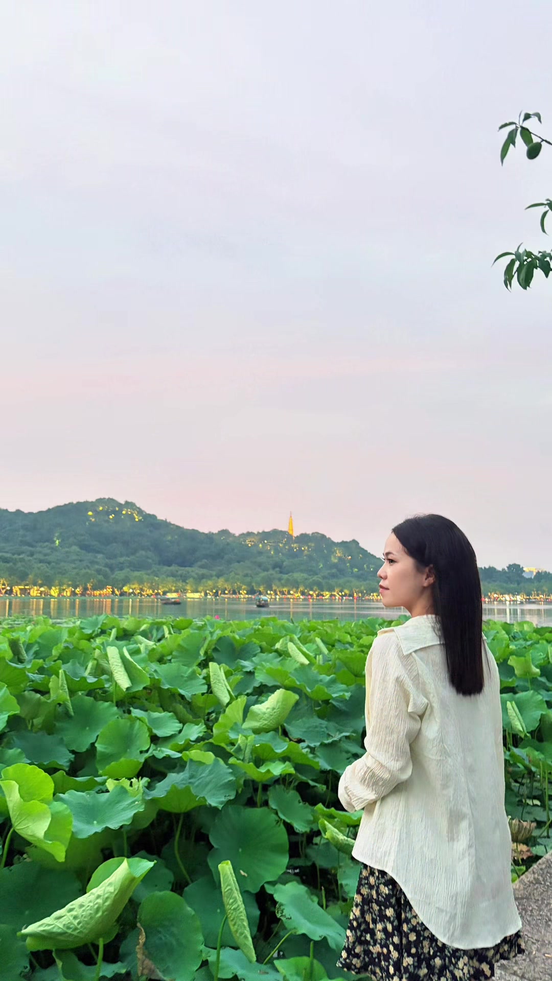 @金丽阳