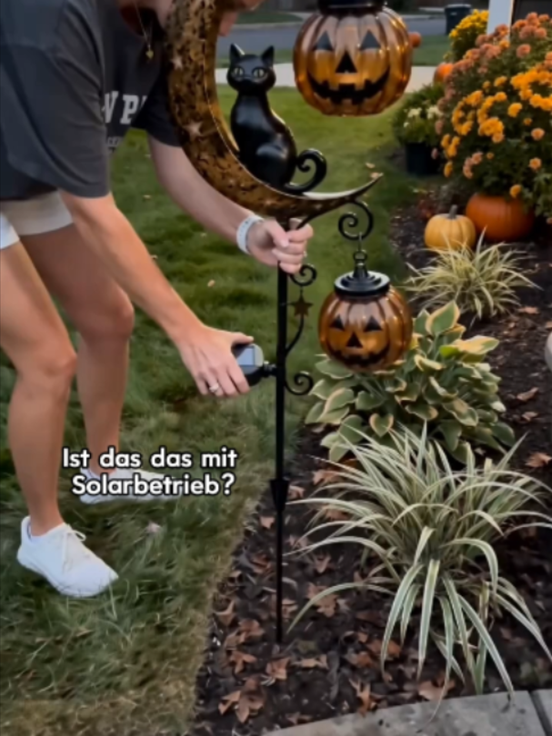 @Gwendolin