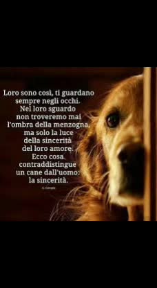 @Superclassifica
