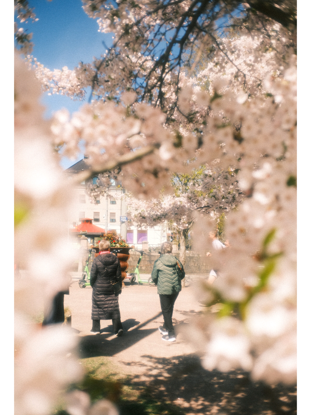 @Around Gothenburg
