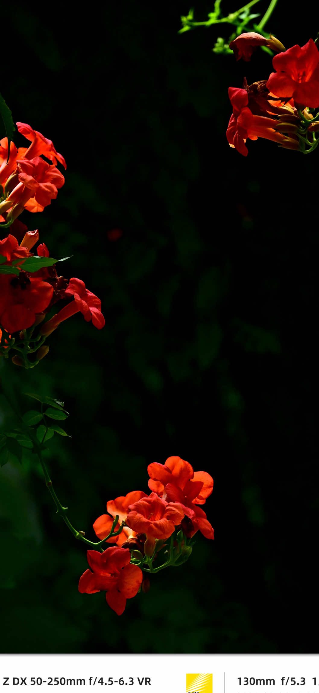 @𝑻𝒂̂𝒏 𝑻𝒉𝒊