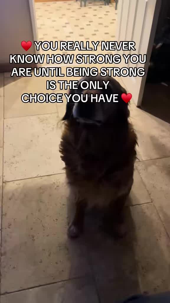 @Happy buddy