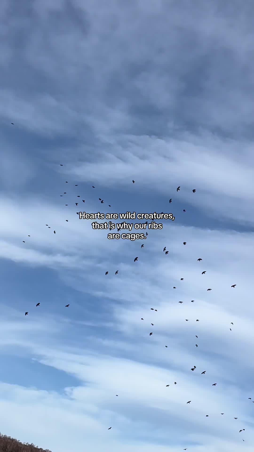 @ᴅᴀʏɴᴀ sᴄᴏᴛᴛ | ᴀᴜᴛʜᴏʀ ✍🏻