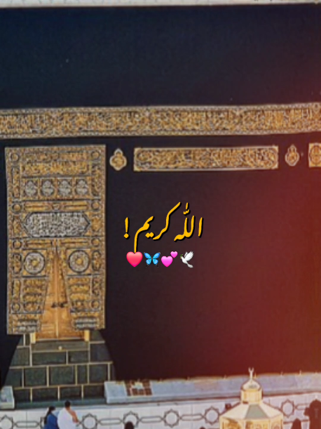 @Irsa Dar