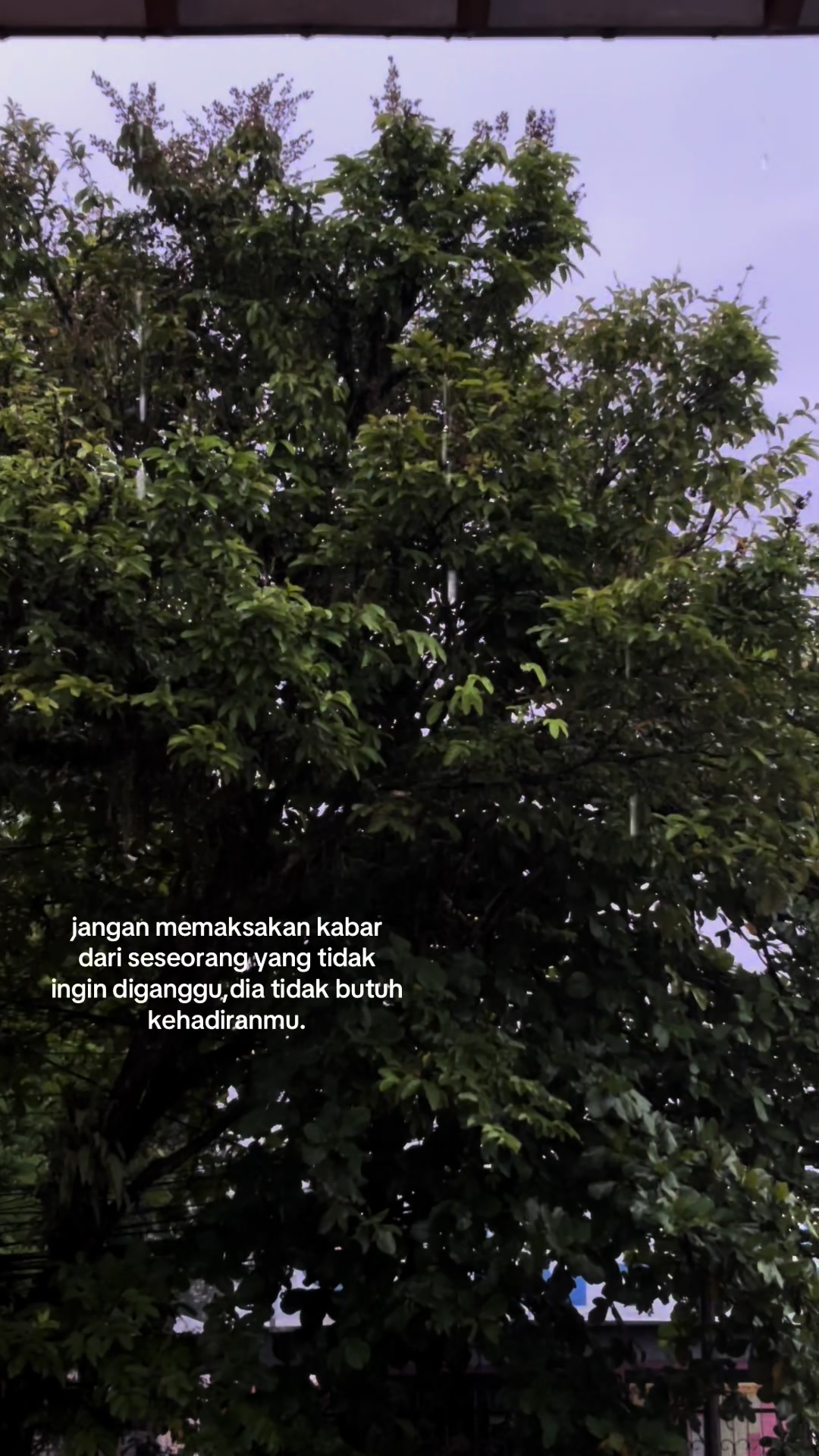 @𝗗𝗶𝗮𝗻𝘆